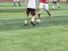 京多安有望,回归曼城中,场阵容,威尼斯人集团,威尼斯人官方网站