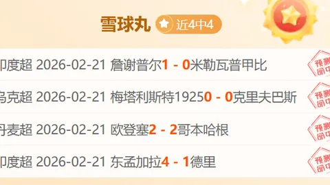 孙颖莎：再踏新征途，追梦不止