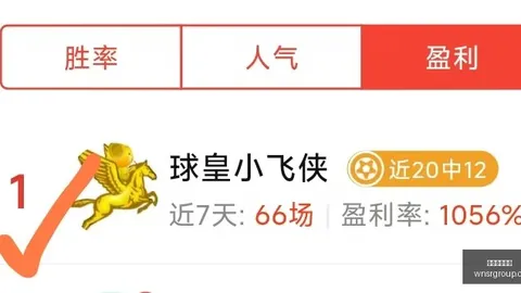 2026尤文官宣：阿拉伊贝戈维奇加盟奖金高达3300万欧，球员加盟意愿确认